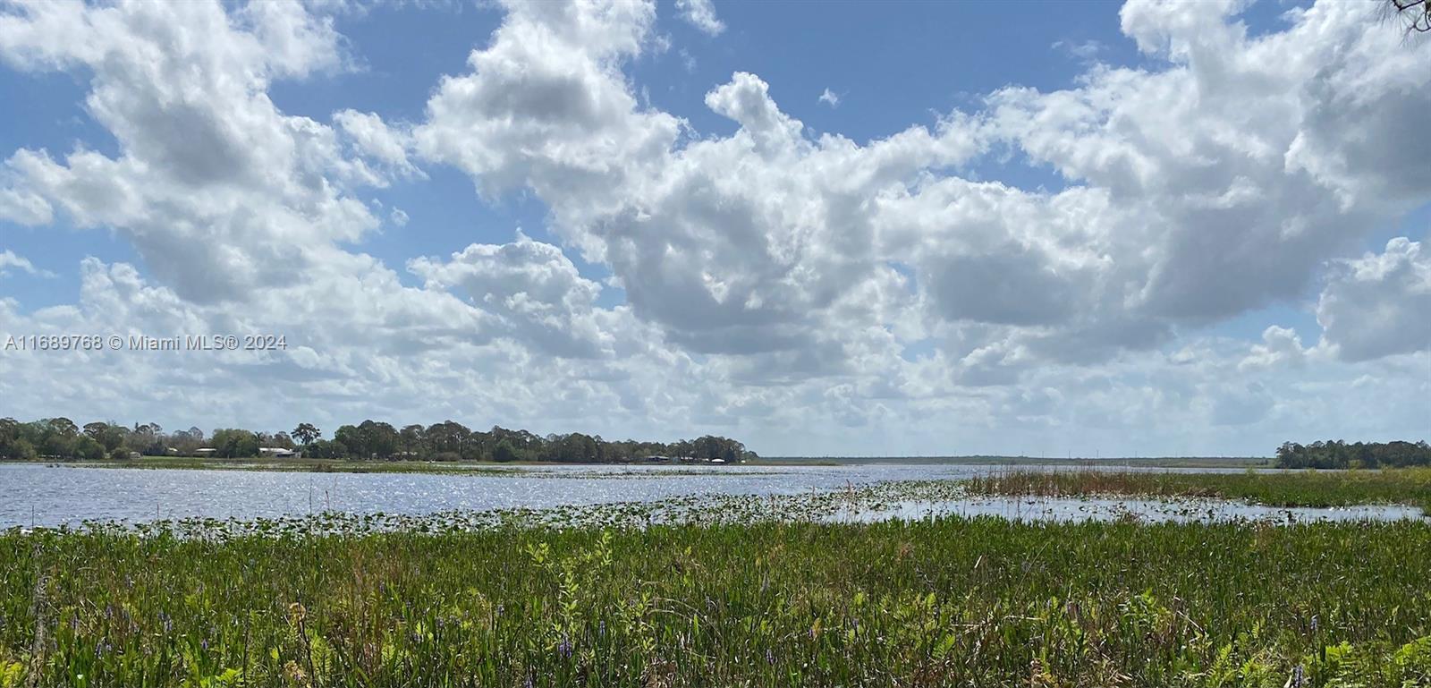 a view of a lake from a yard