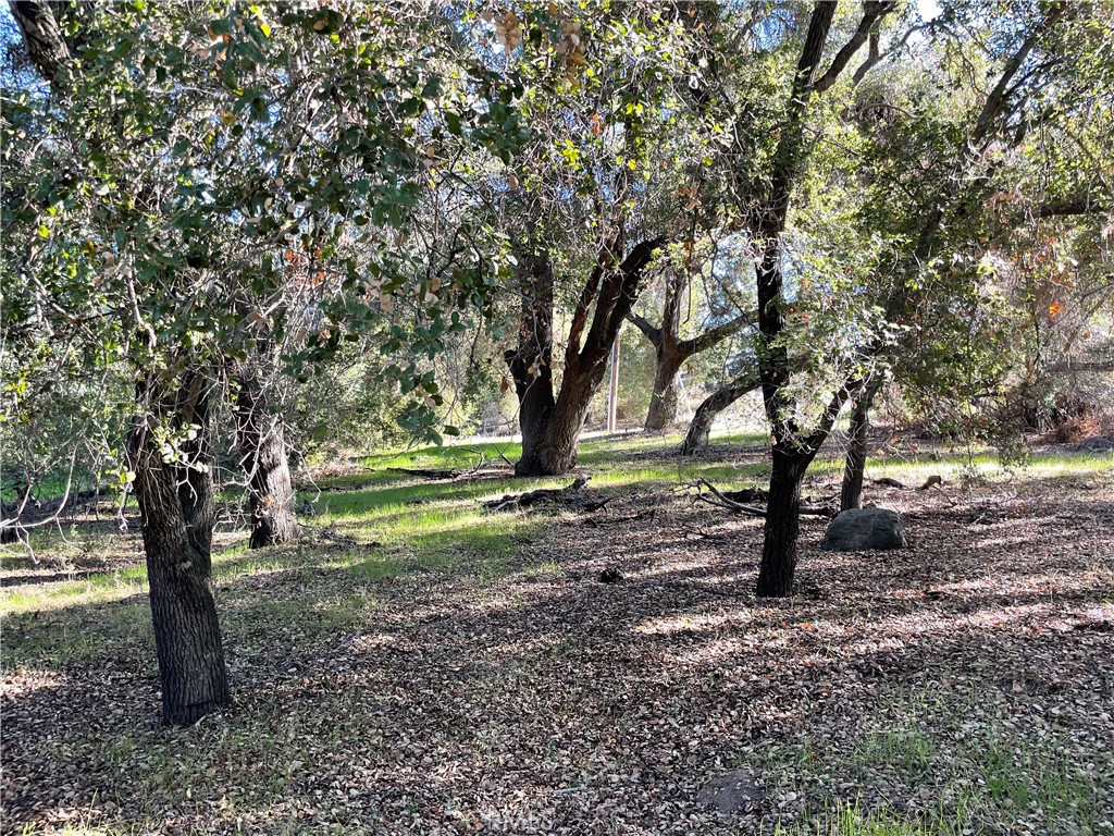 a view of outdoor space with trees