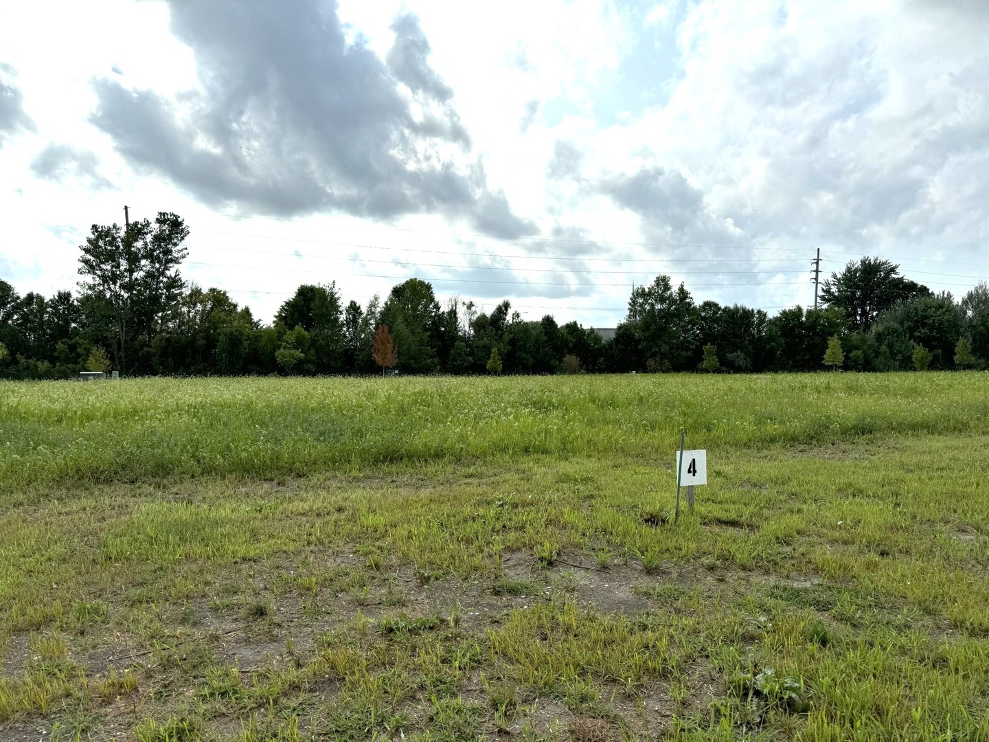 a view of a field with of trees in background