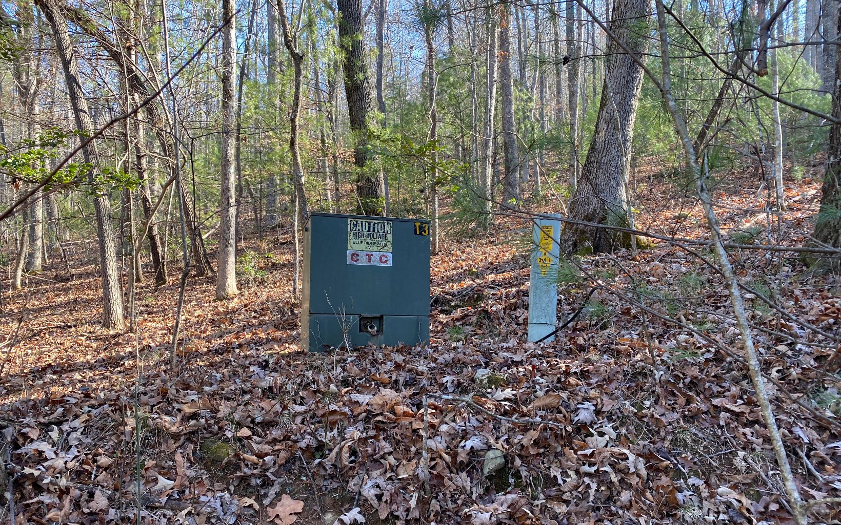 a sign board with tall trees