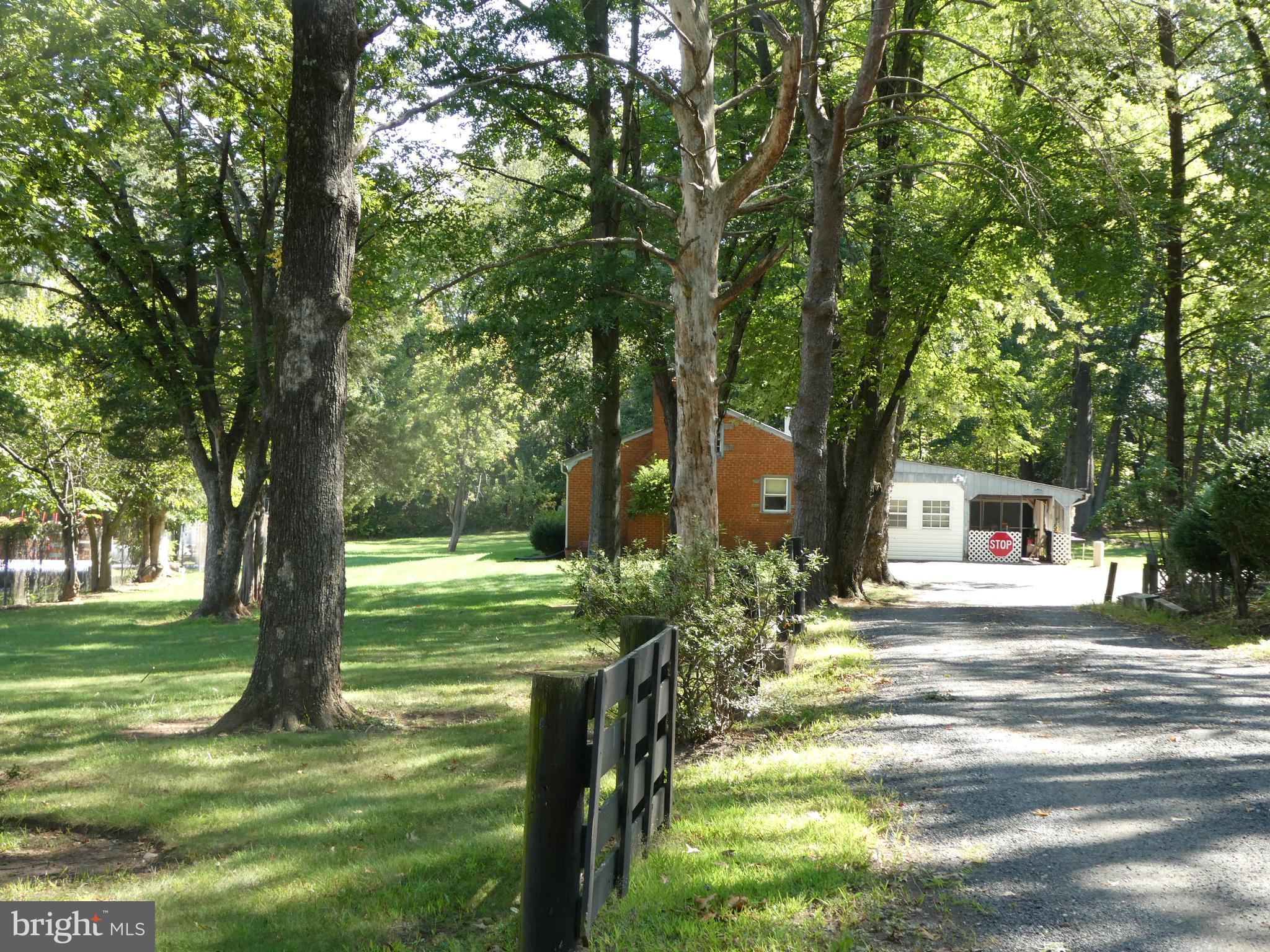 a view of a trees in front of a house