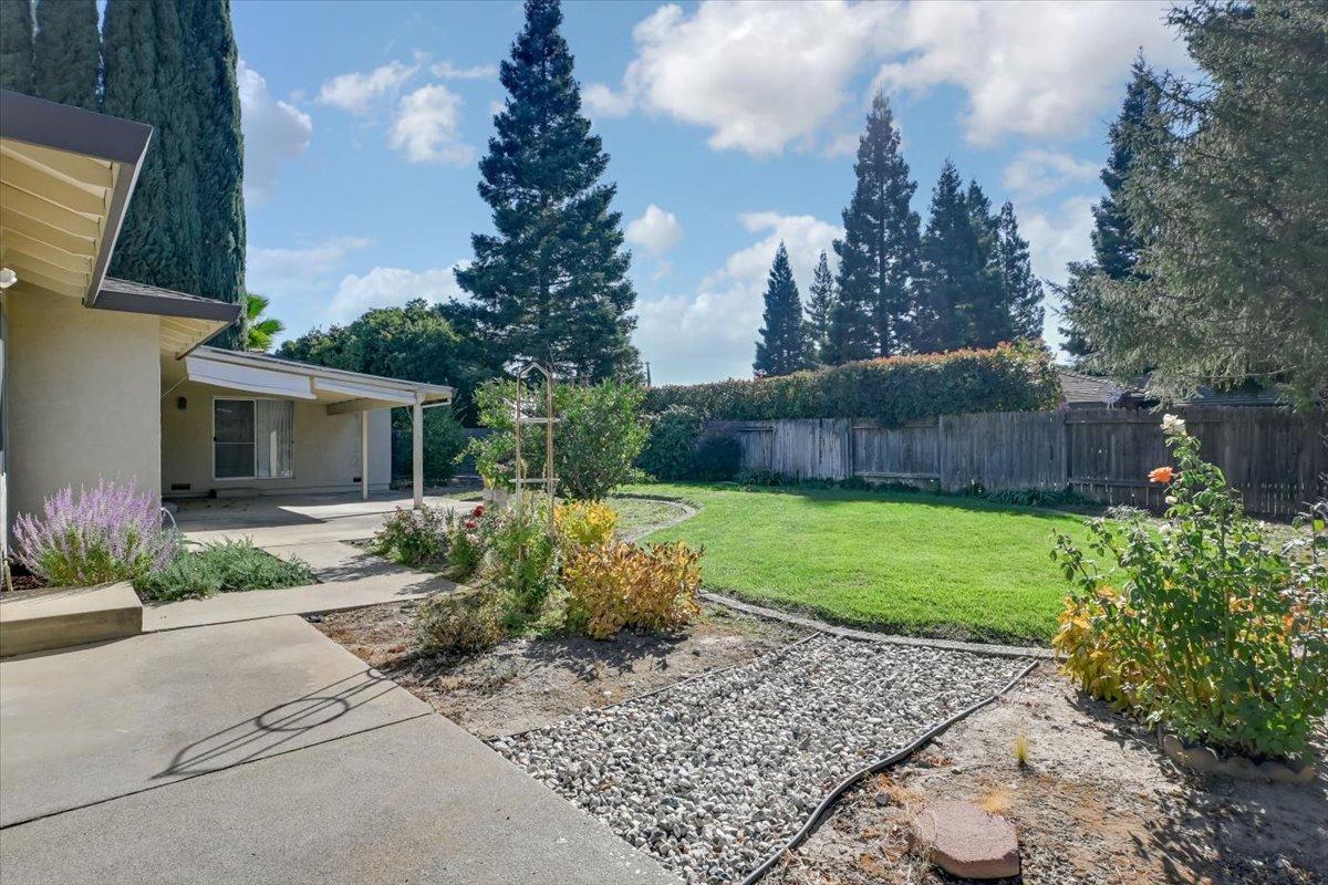 a view of a backyard with plants and a garden