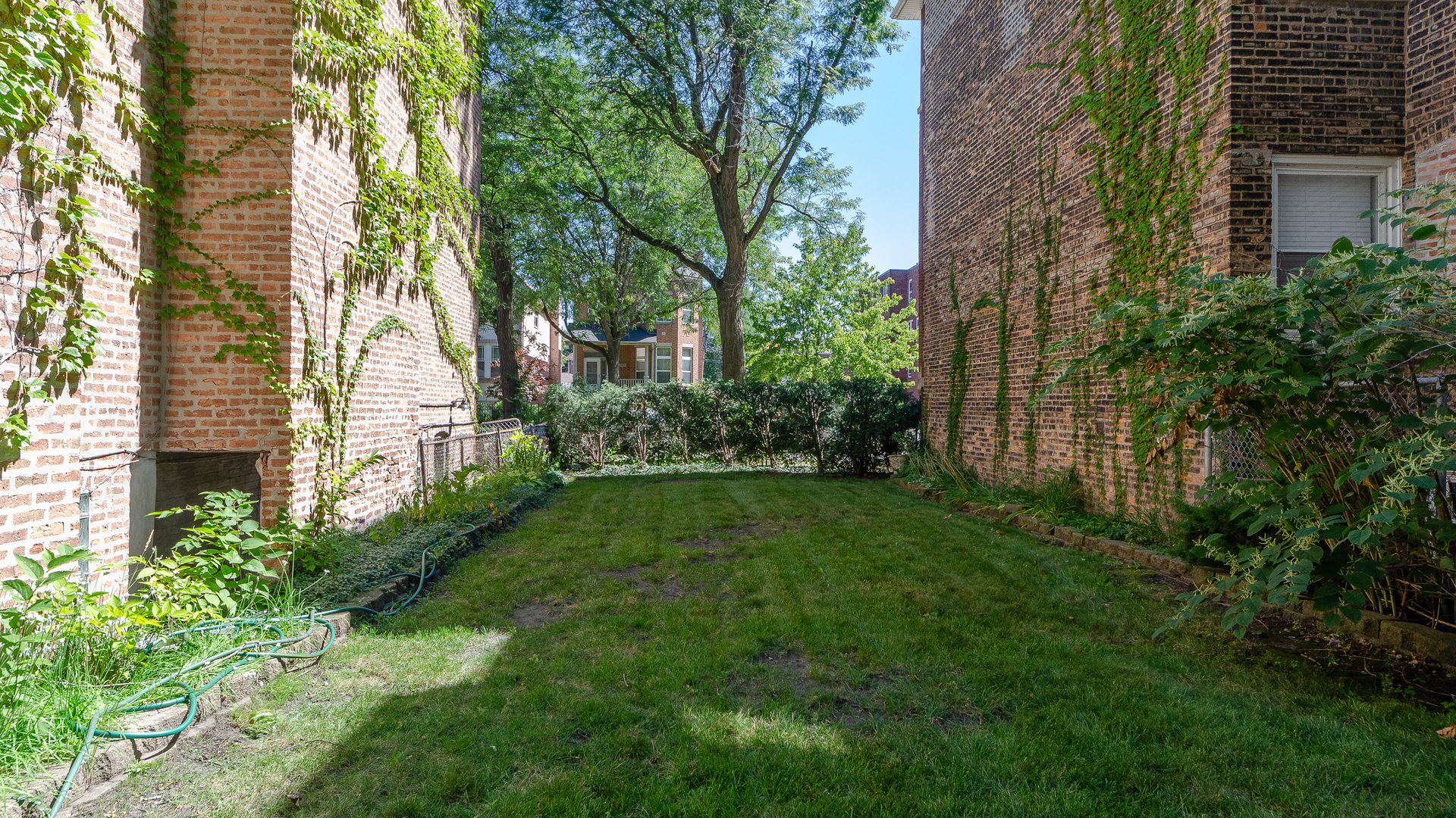 a view of a backyard with plants and large trees