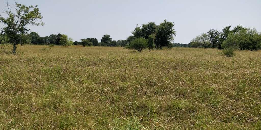 a view of a field with trees in background