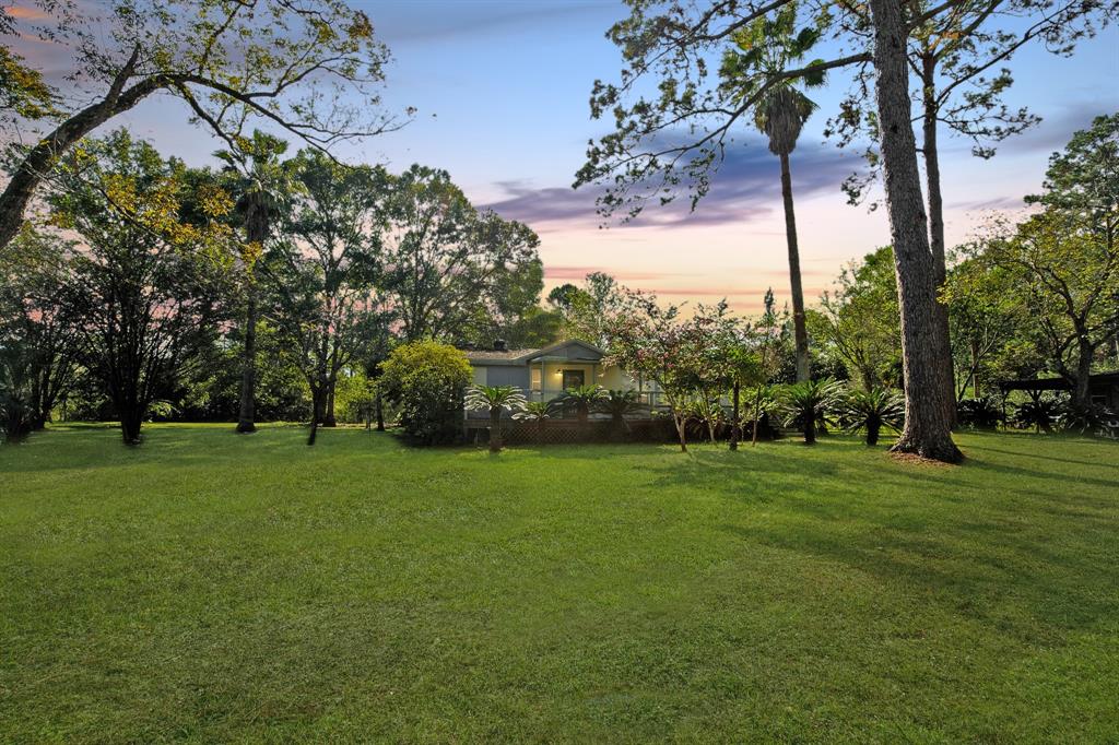 a view of a trees with a big yard