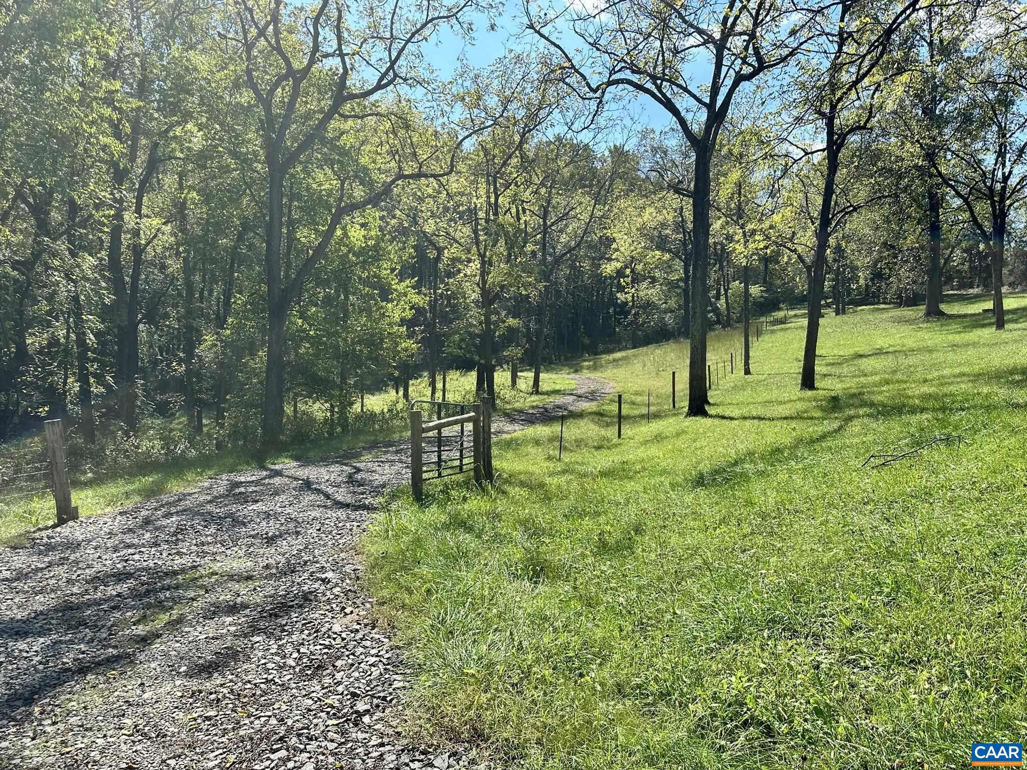 a view of backyard with green space