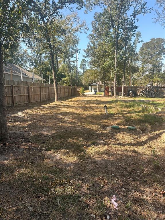 a view of a yard with a large tree