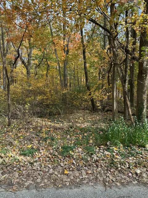 a view of a yard with large trees