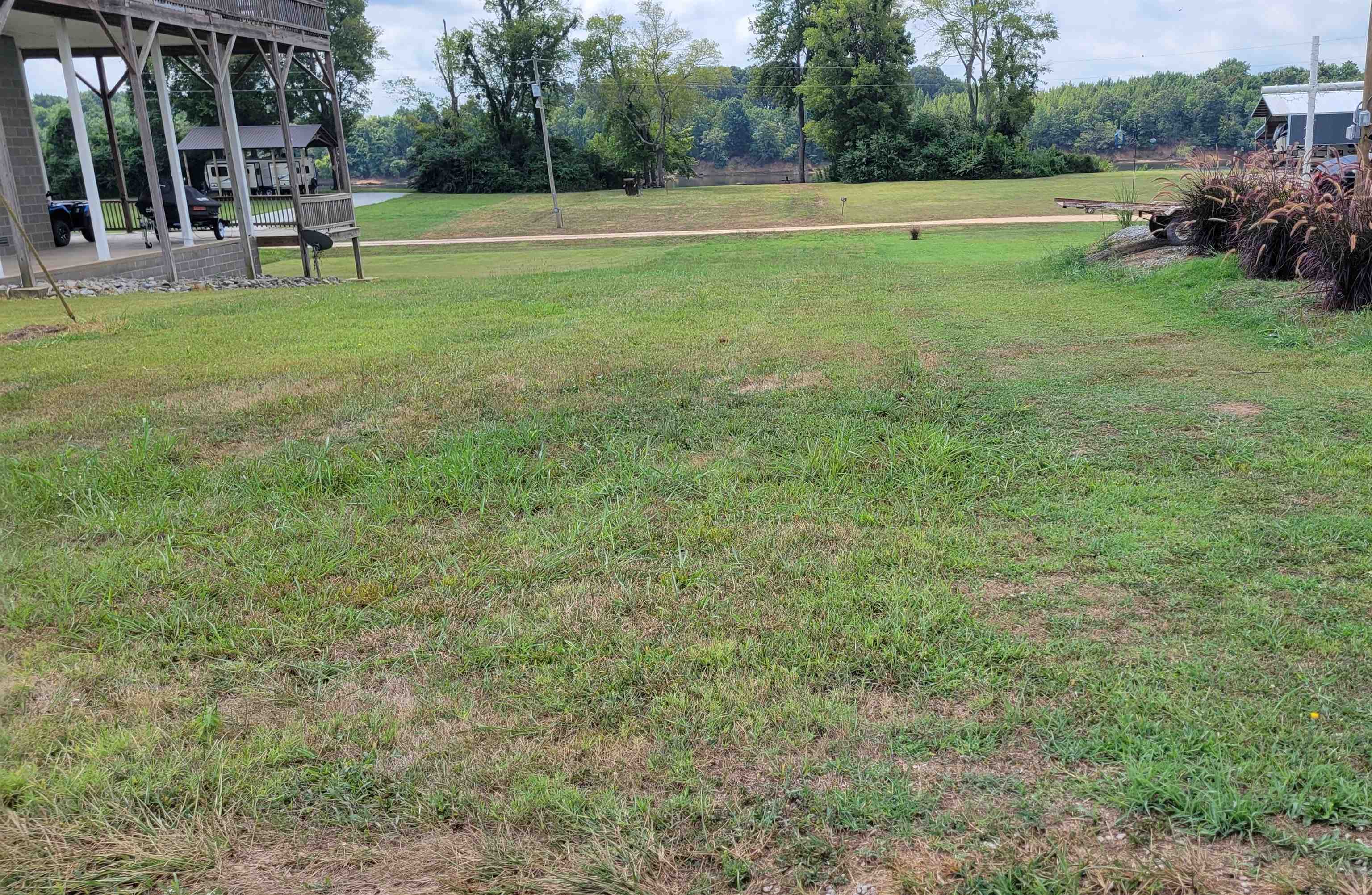 a group of people playing in a field