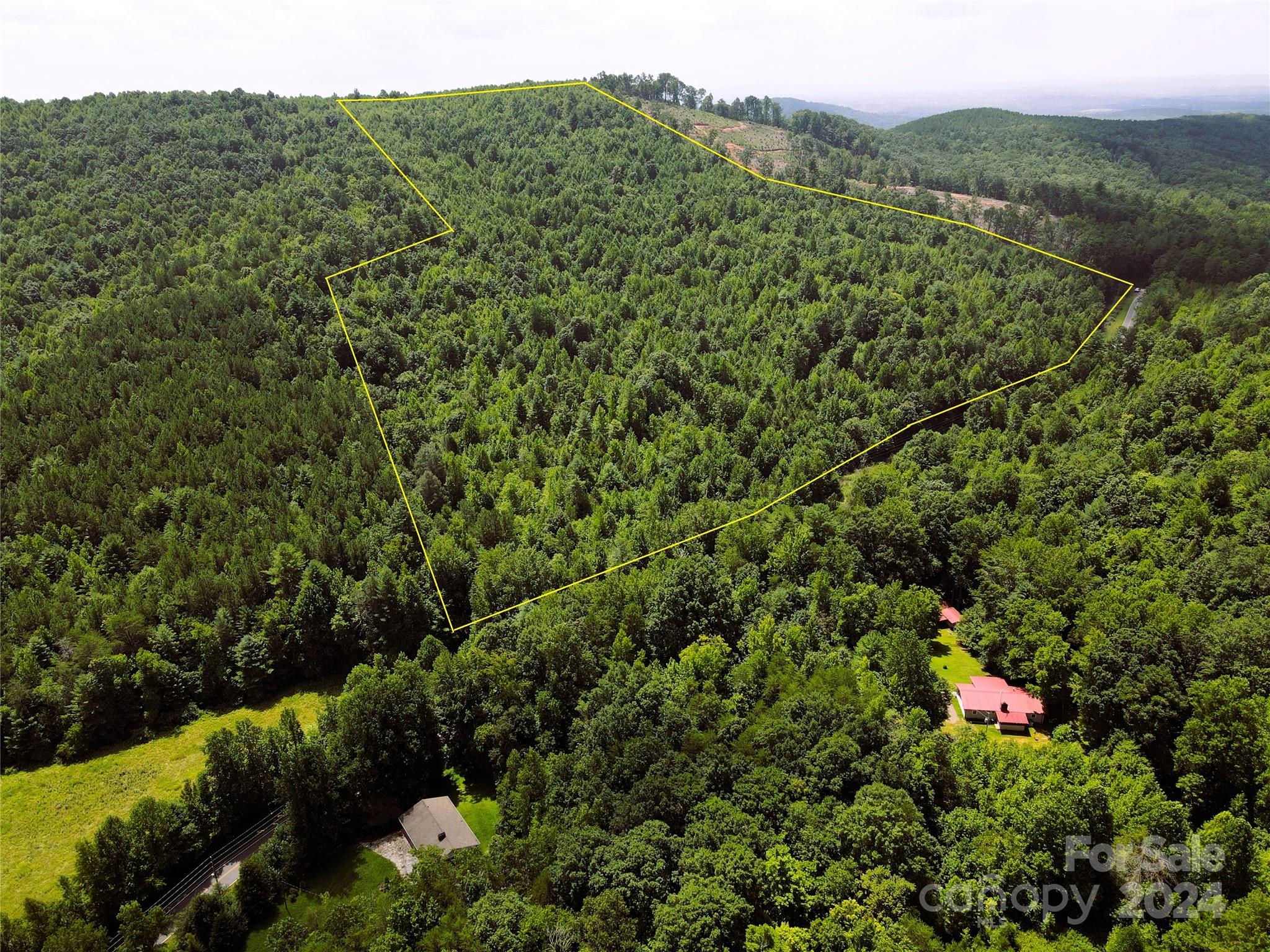 a view of a lush green forest with a house