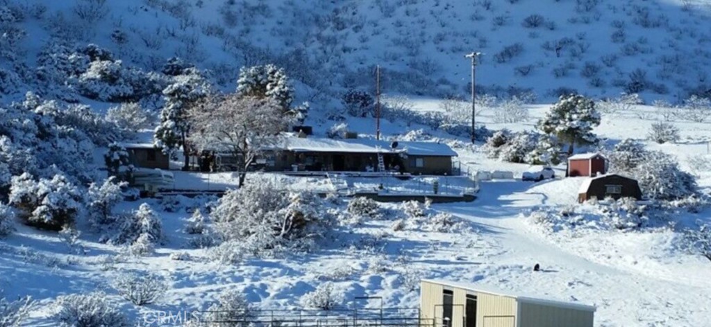 a view of a backyard with large trees