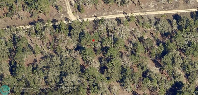 a view of a forest with a houses