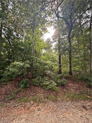 $15,000 | 0 Sir Abbott Lane | Silver Hill Township - Davidson County