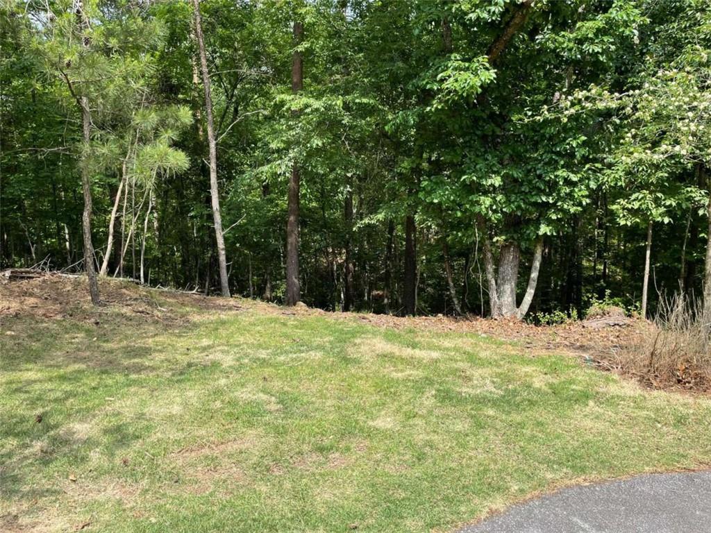 a backyard of a house with large trees