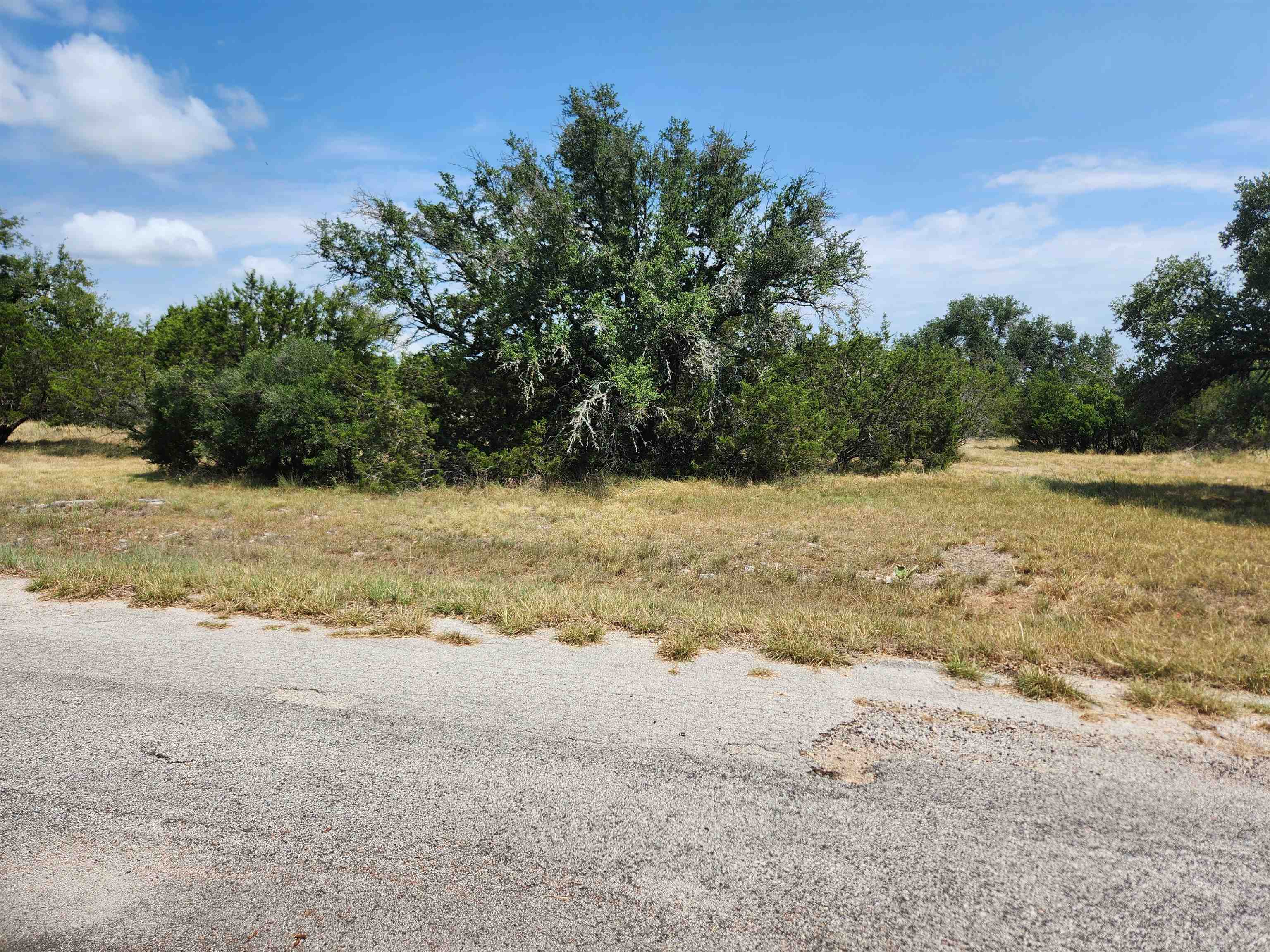 a view of a yard with a tree