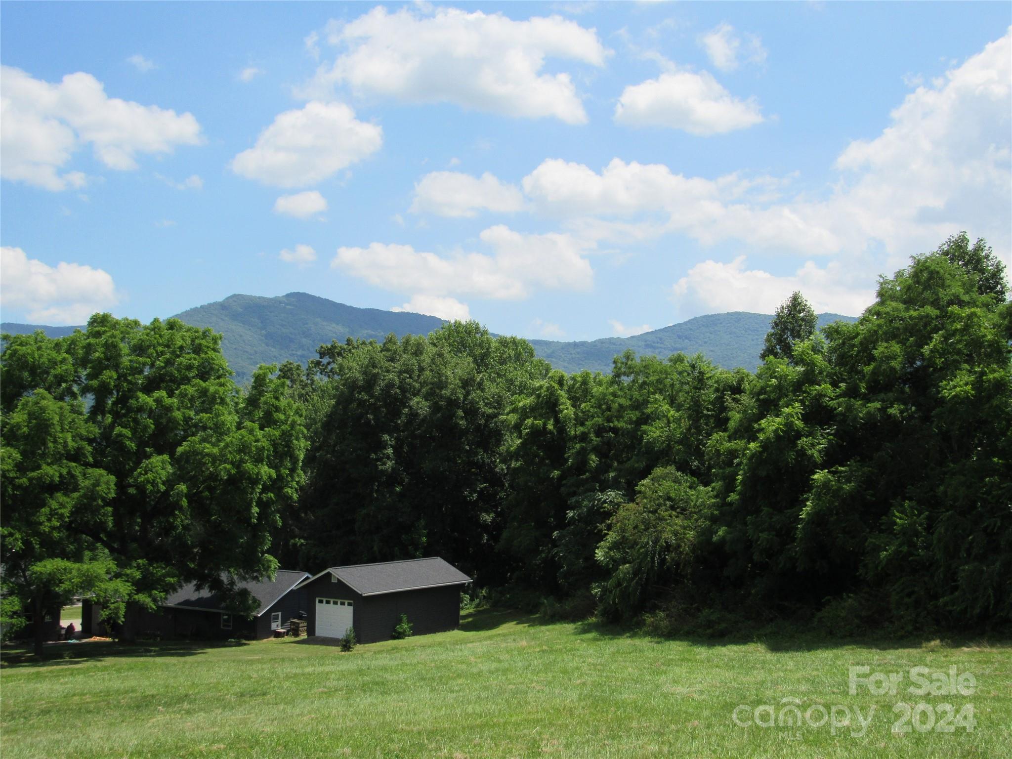 a view of a back yard