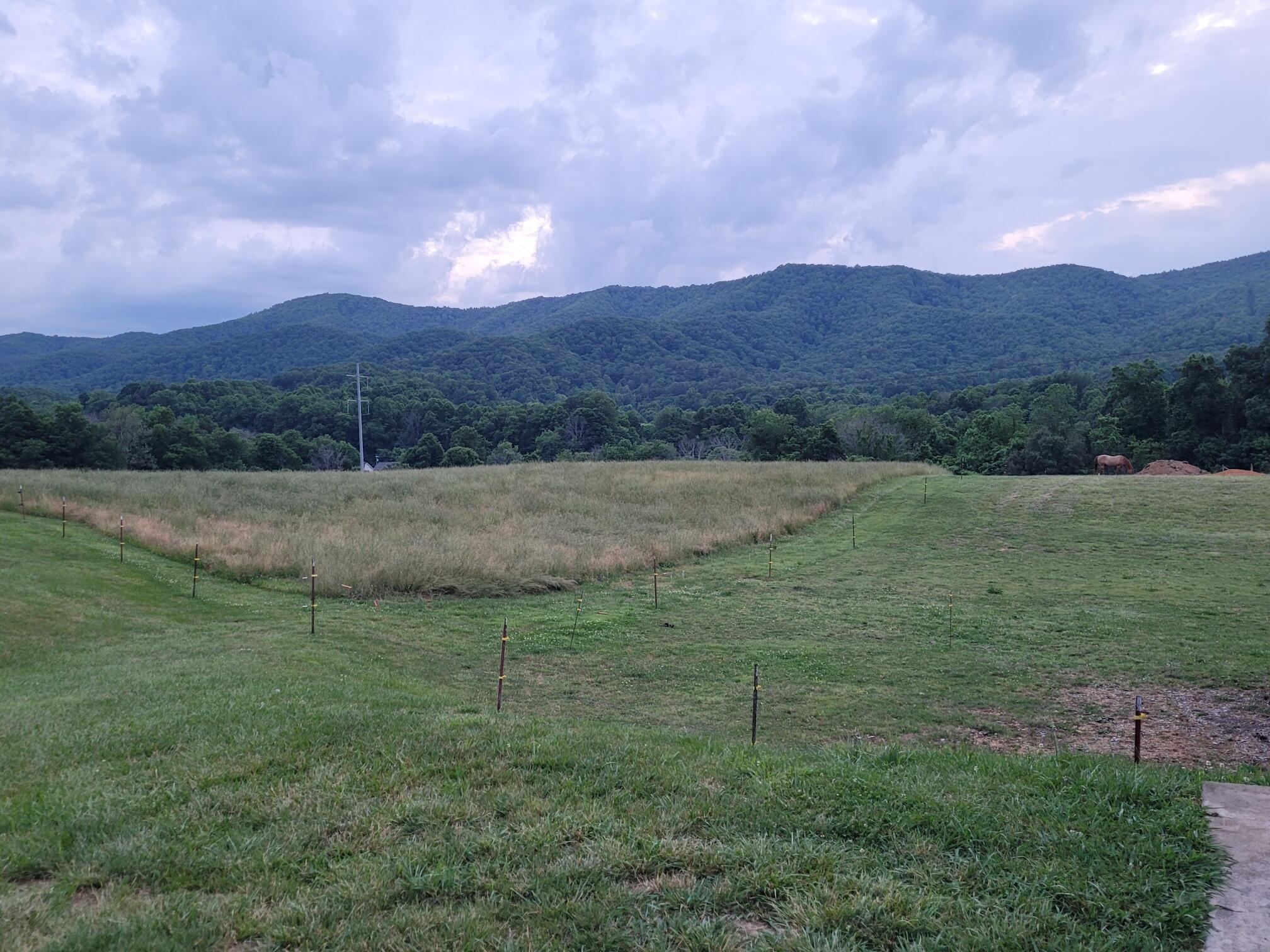 oak view of mountains