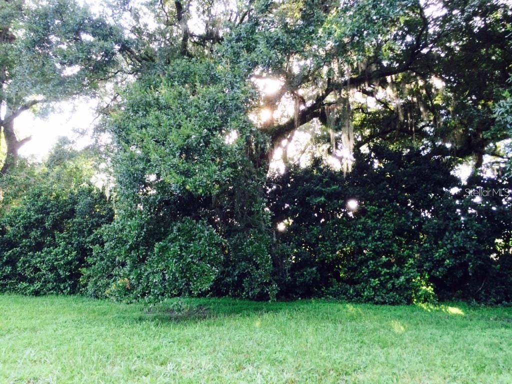 a view of green field with trees in the background