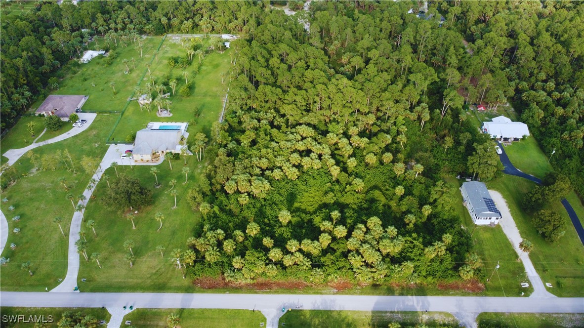 a view of a yard with plants