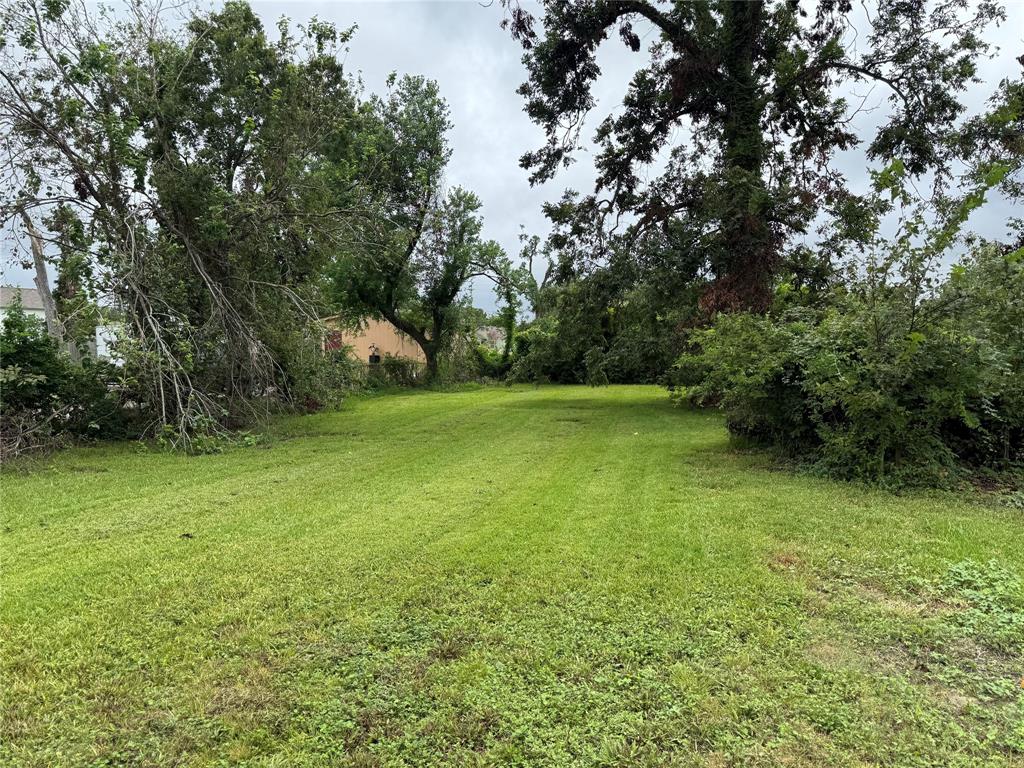 a view of a grassy field with trees