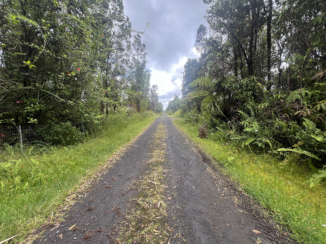 a view of a pathway with a yard