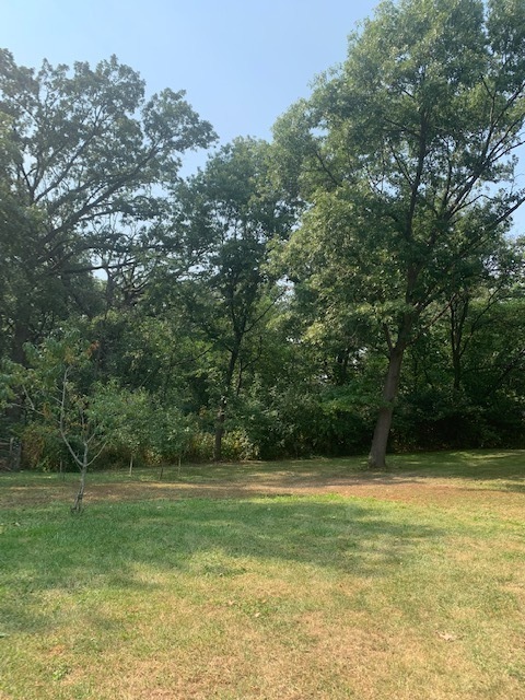 a view of a garden