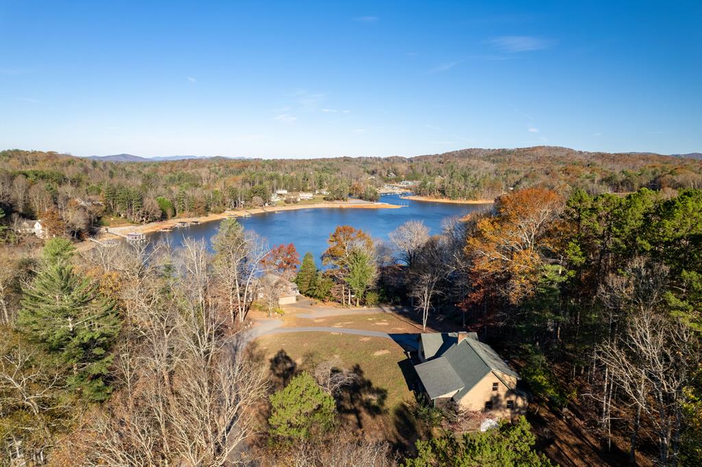 a view of a lake with a mountain in the background