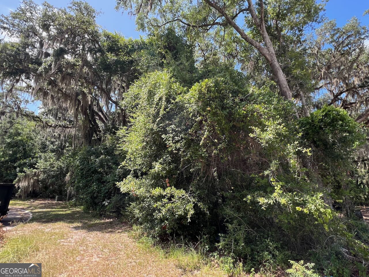 a view of outdoor space and trees