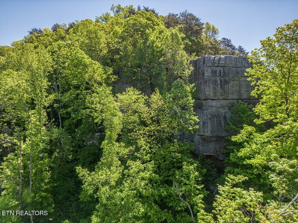 Park area The Bluffs