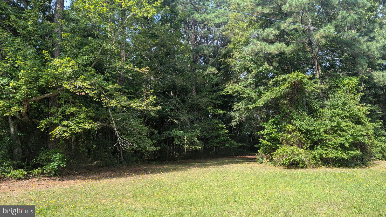 a view of a yard with a tree