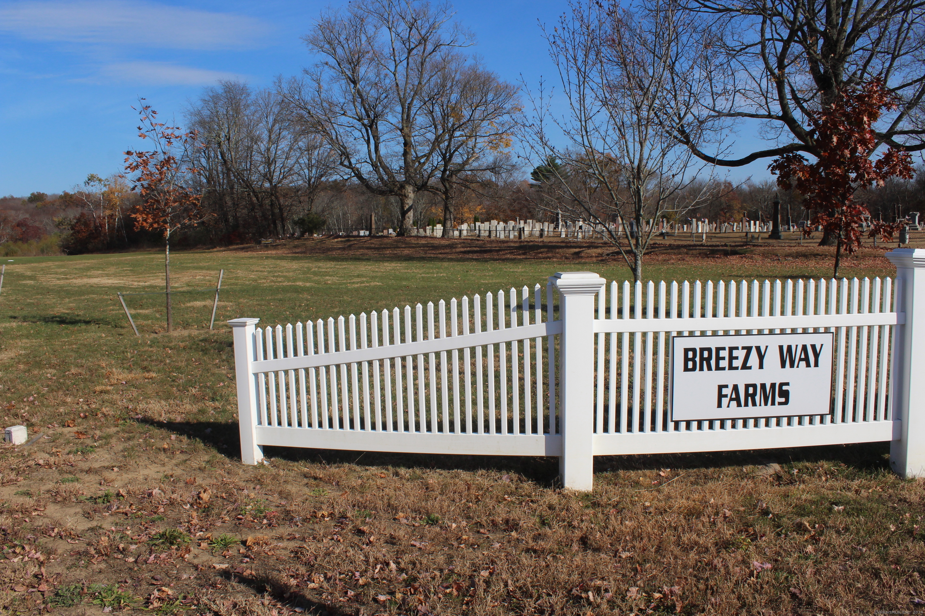 a view of a park with iron fence