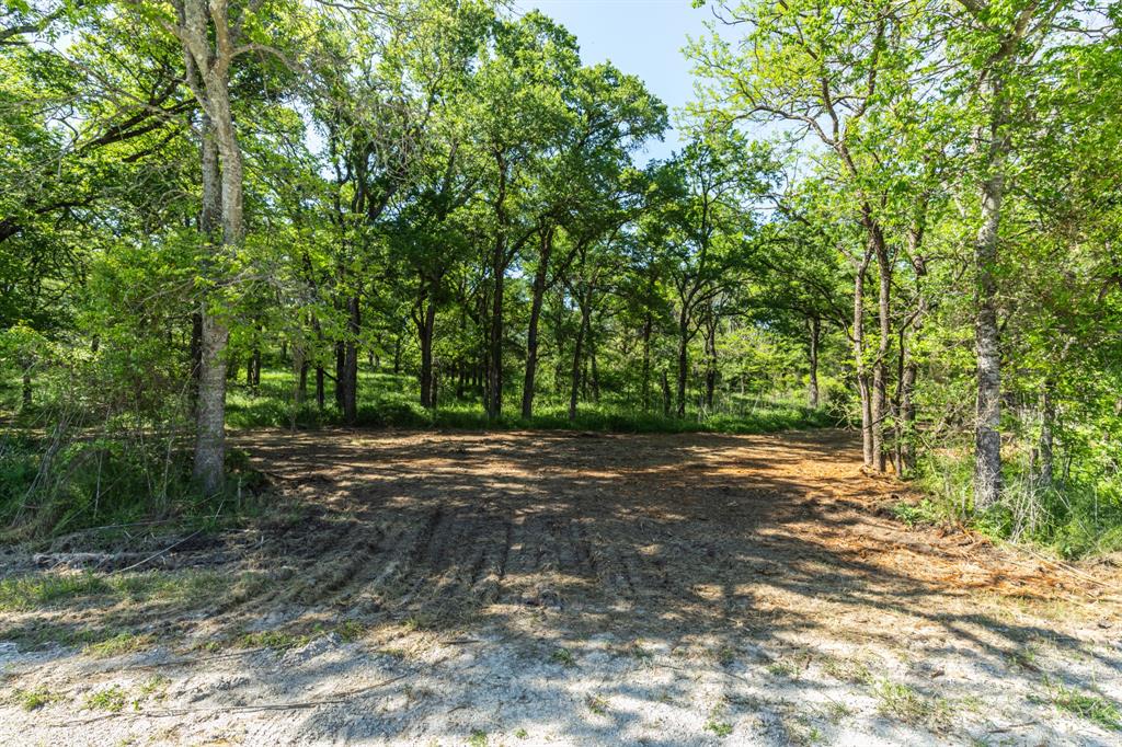 a view of a dirt road with trees in the background