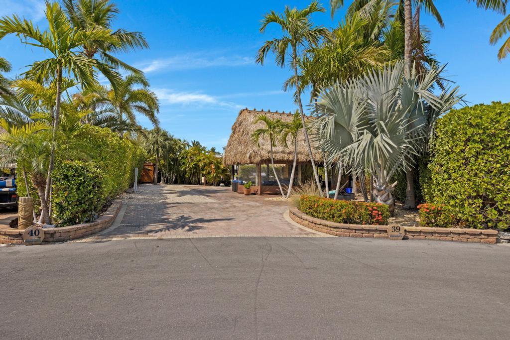 a view of a park with palm trees