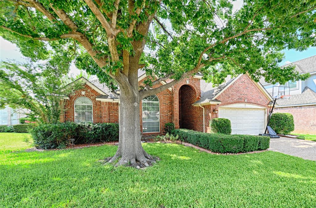 a front view of a house with a yard and a tree