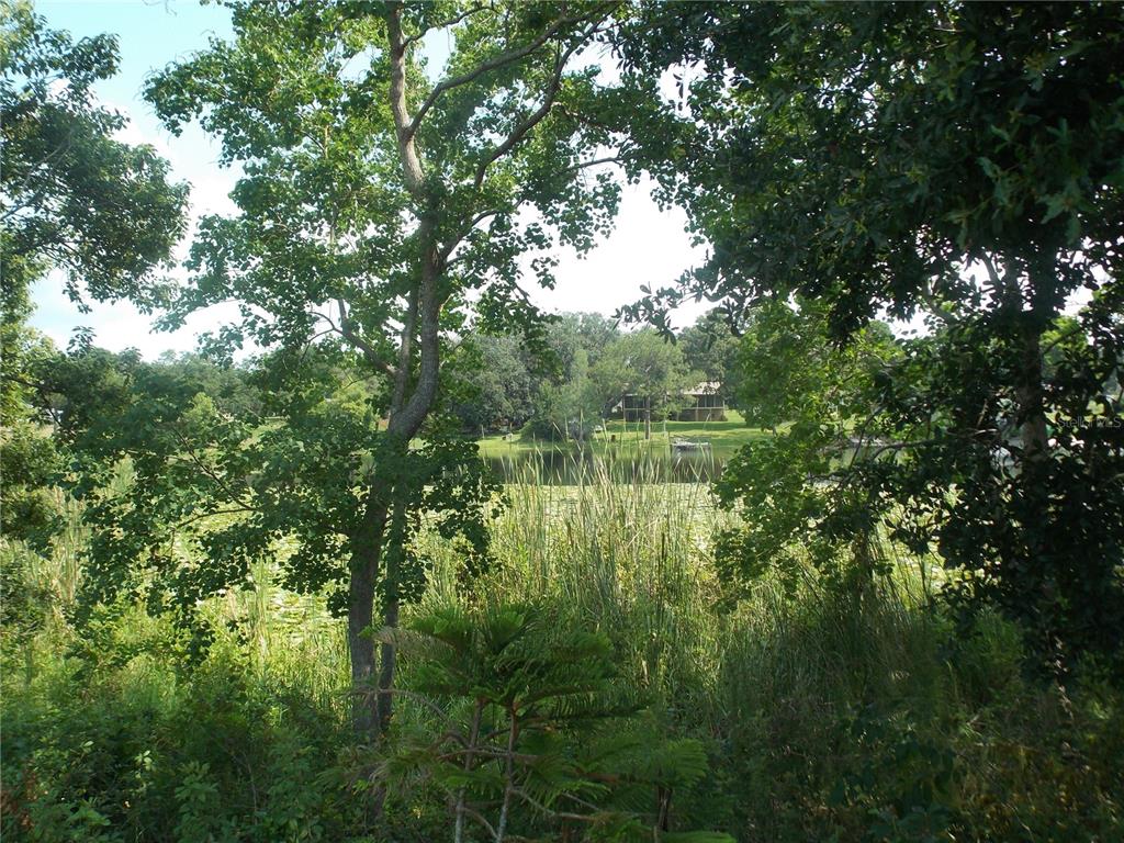 a view of lake with green space