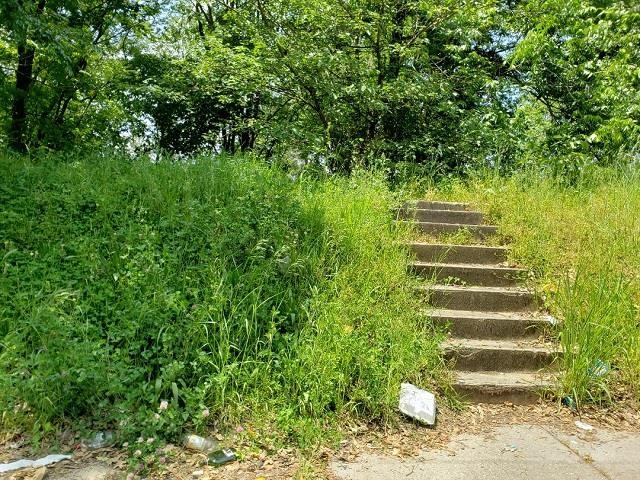 a view of backyard with green space