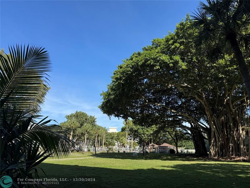 a view of a park