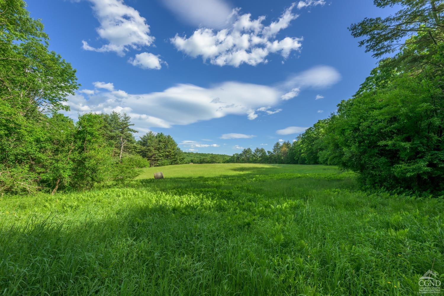 a view of a big yard with lots of green space