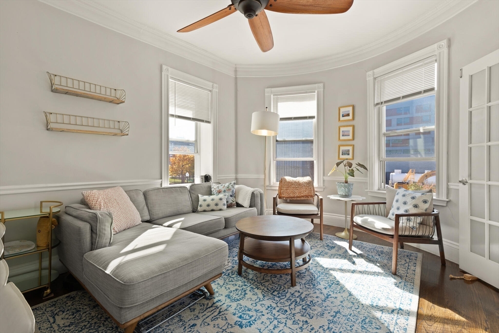 a living room with furniture and a potted plant