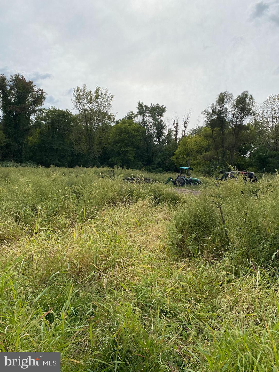 a view of field with trees in the background