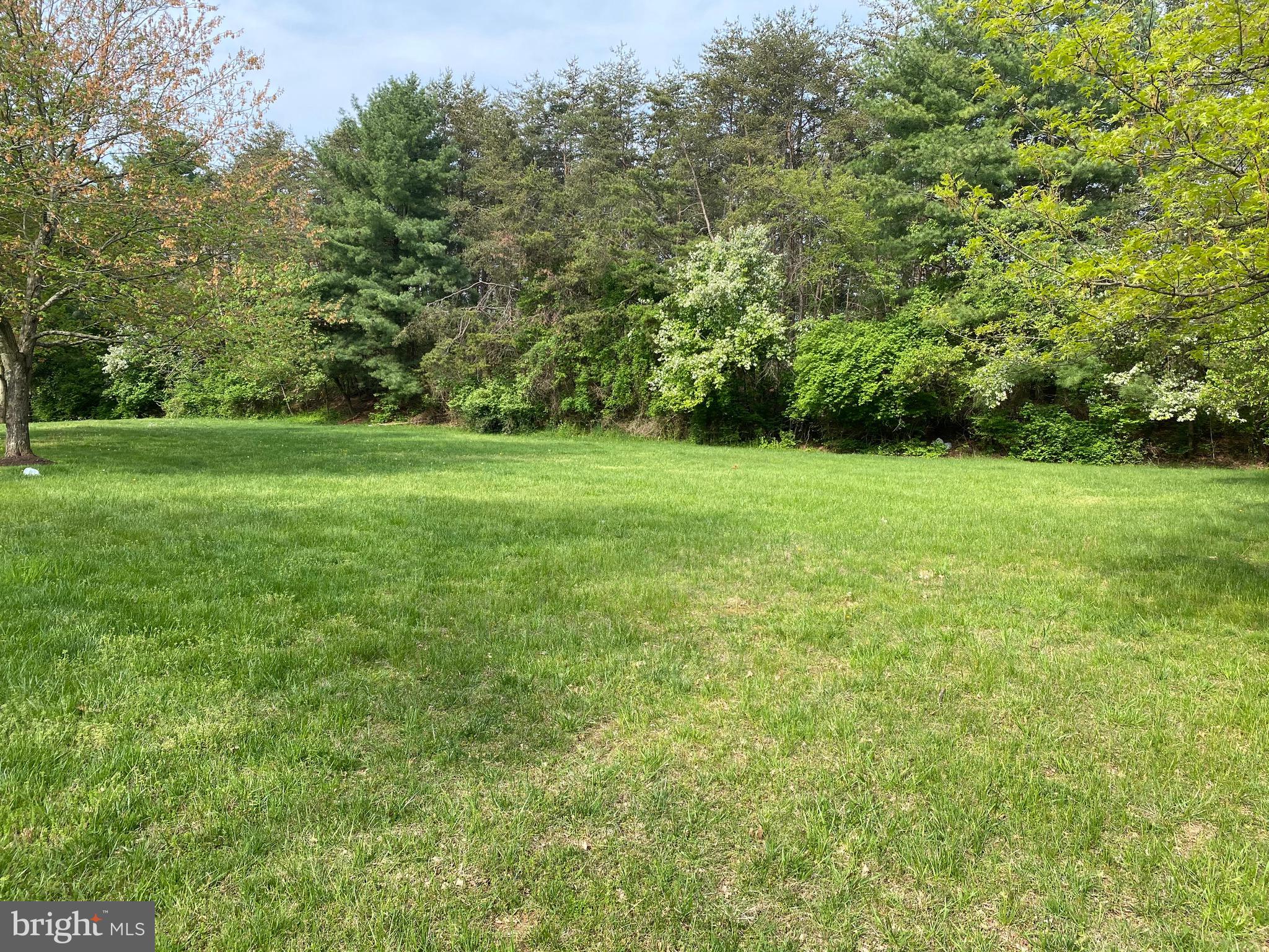 a view of a field with a trees in the background