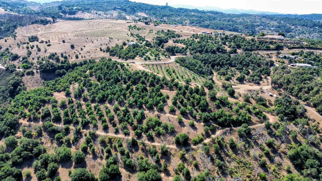 an aerial view of residential houses with outdoor space and trees