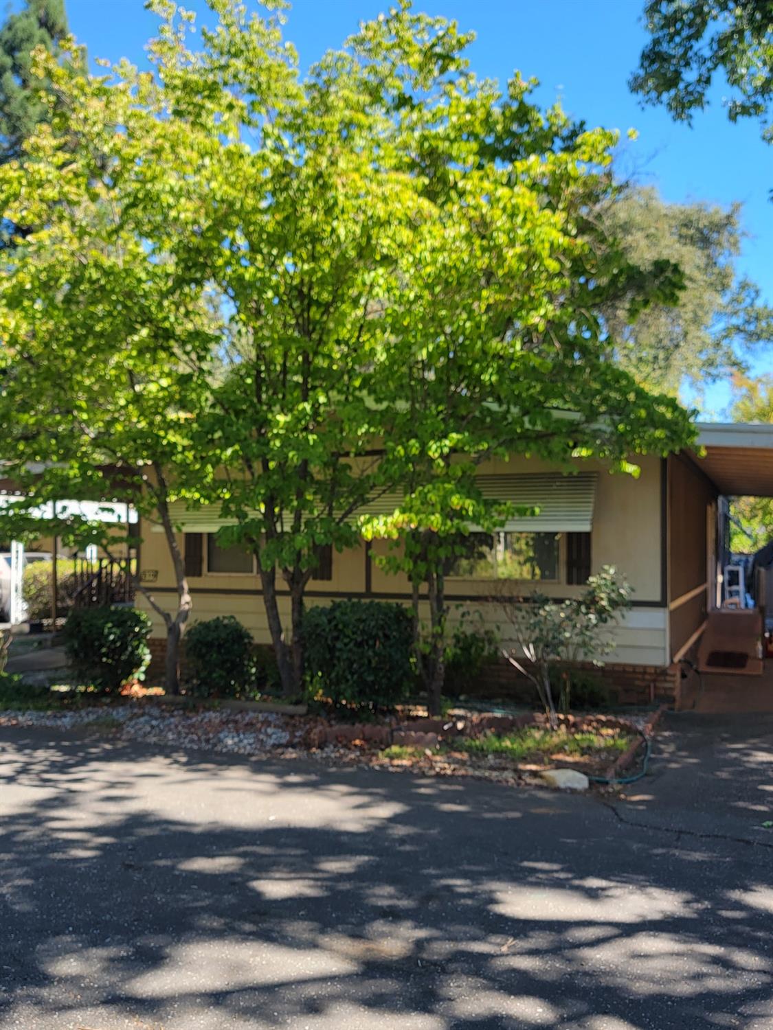 a view of a house with a tree