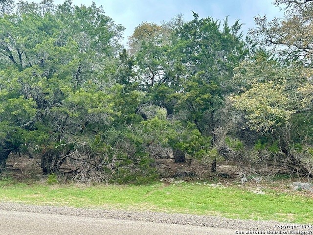 a view of a yard with a tree