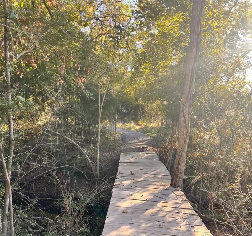 a view of a pathway both side of small yard