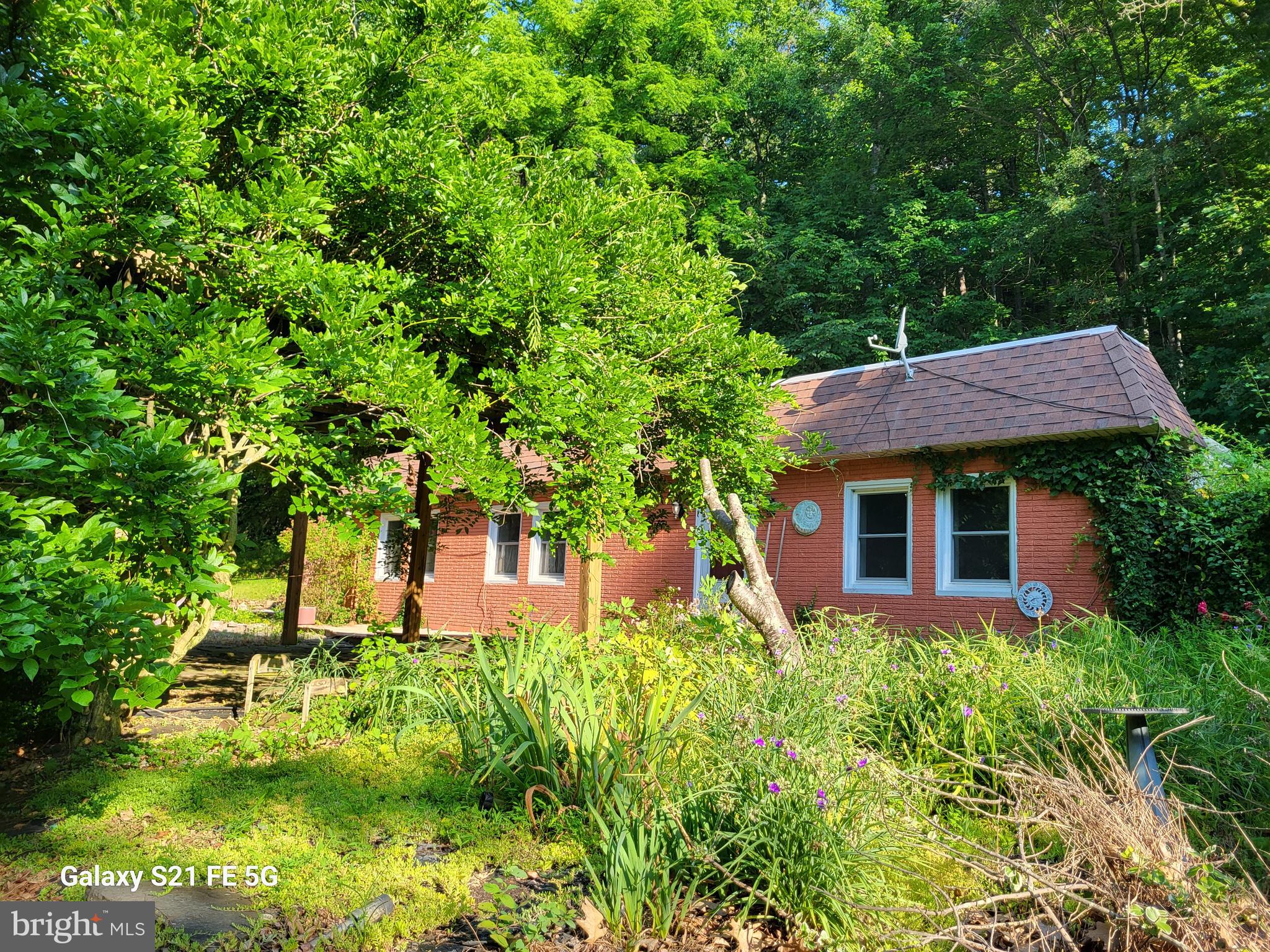 a view of a house with garden and plants