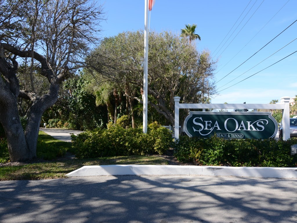 a view of a street sign under a large tree