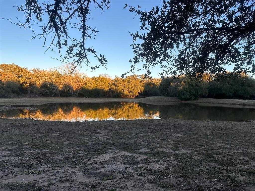 Beautiful sunset over the pond