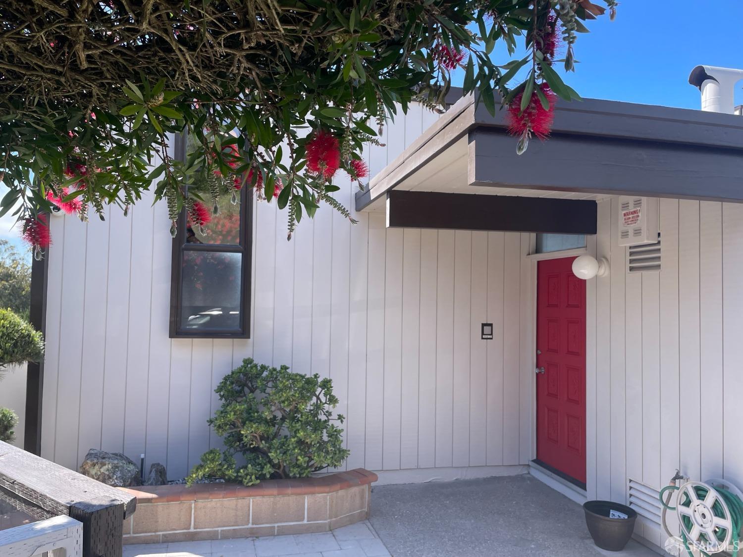 a potted plant sitting in front of a door