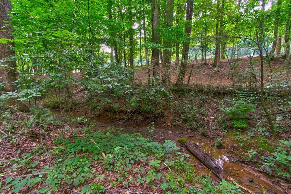 a view of a forest with trees